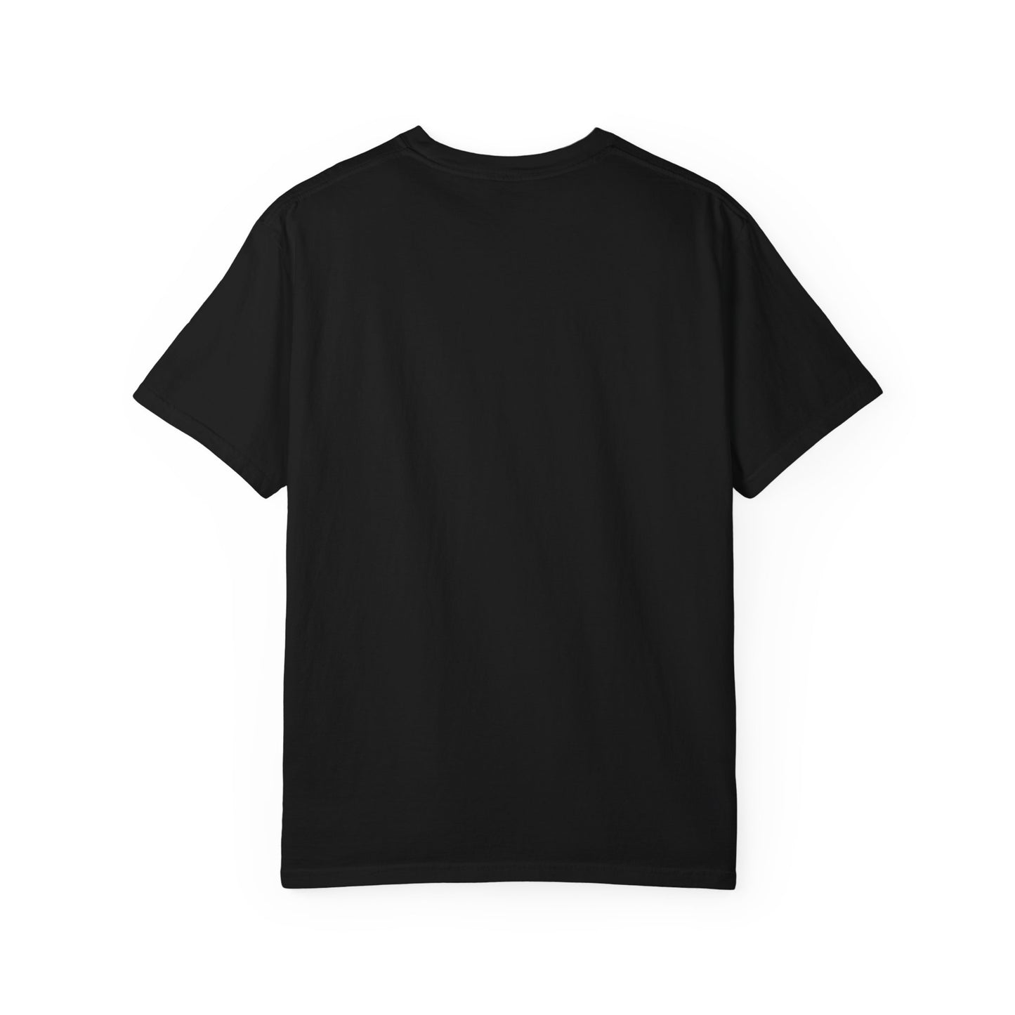 LSSC T-Shirt  - Perfect for Casual Outings, Holidays, and Gifts. 5 Colors Available