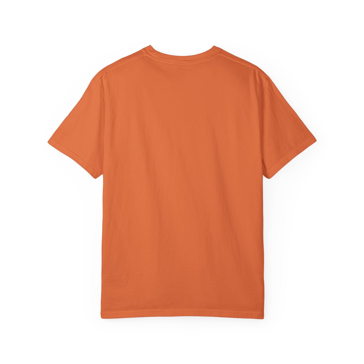 LSSC T-Shirt  - Perfect for Casual Outings, Holidays, and Gifts. 5 Colors Available
